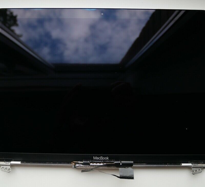 Original Skærm til Macbook 12" A1534